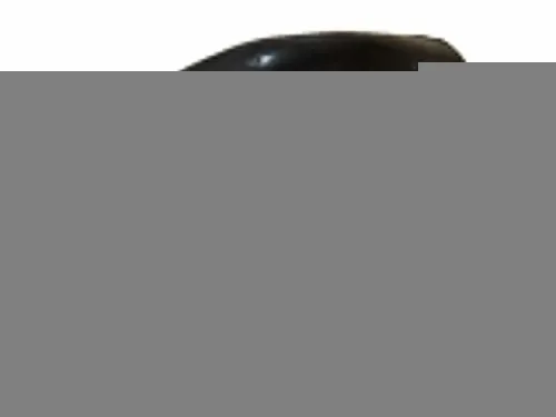 Защита крыла (подкрылок) задний левый Mercedes S W220 1998-2005