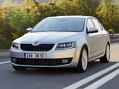 Пластиковая защита двигателя Skoda Octavia (III)