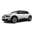 C4 Cactus 2018- C4 Cactus 2018-