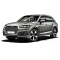 Q7