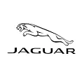 Jaguar Jaguar