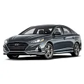 Sonata (LF) 2014 — 2019
